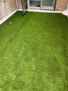 whatsapp image 2025 11 27 at 3.46.26 pm